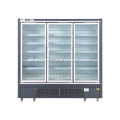 Congelador vertical congelador de alimentos na posição vertical